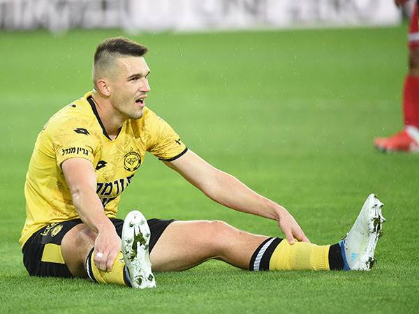 (ברני ארדוב)