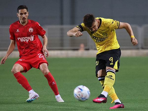 בילו (ברני ארדוב)