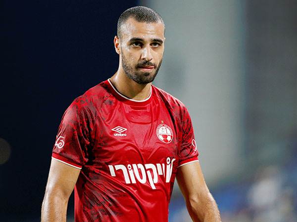 בימים הקרובים נדע יותר. ספורי (אלן שיבר)