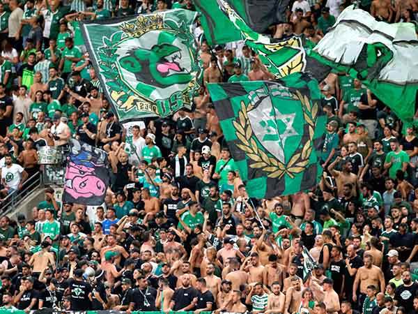 תאושר הושבת נשים וילדים בדרומי? (אלן שיבר)