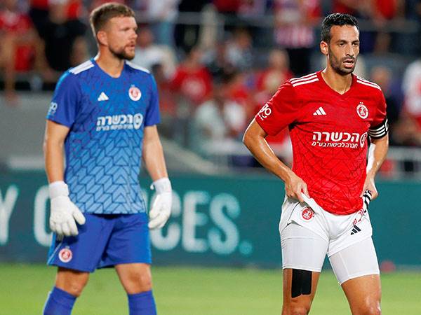 הראש בטדי (אלן שיבר)