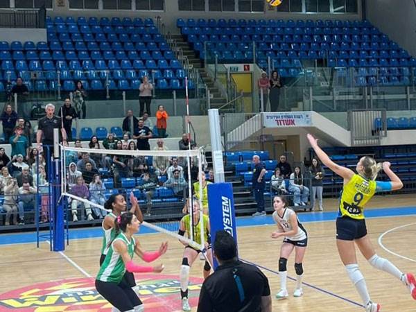 (איגוד הכדורעף)