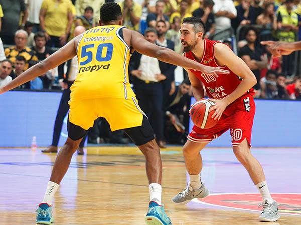 שוב נפגשים (אלן שיבר)