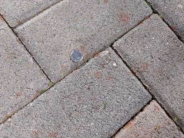 המטבע שפגע בשרי