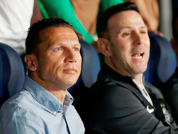 בכר וצרפתי. כוורת חוזרת (אלן שיבר)