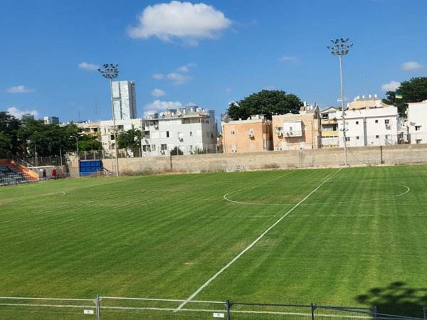 גופי התאורה