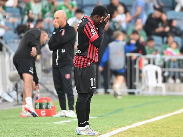 בשיחות. דון (ברני ארדוב)