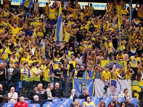 געגועים לקהל (אלן שיבר)