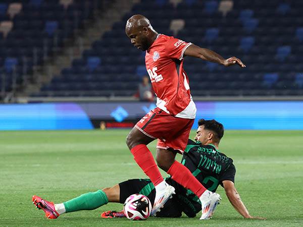 (צילום: דני מרון)