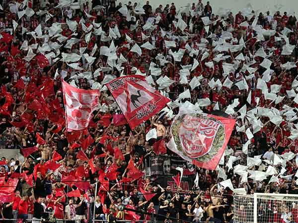 שלל דגלים אדומים-לבנים בצד השני (אלן שיבר)