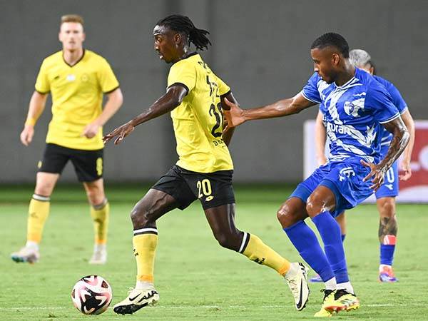 (ברני ארדוב)