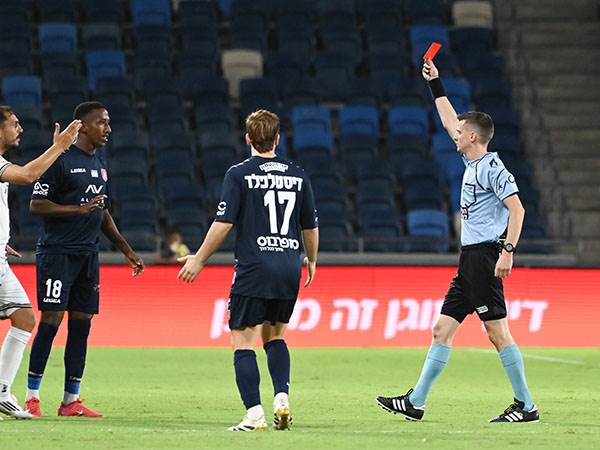 (ברני ארדוב)