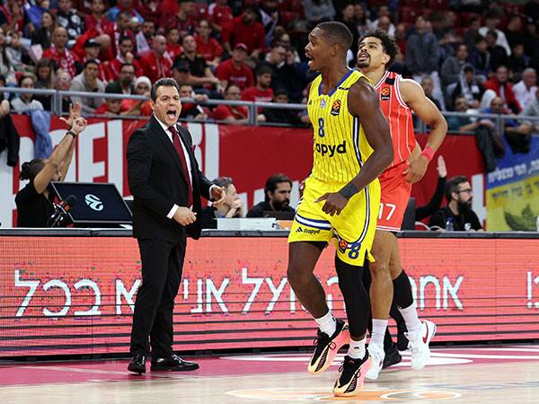 (אלן שיבר, סופיה)