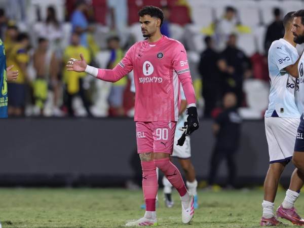 (מאור אלקסלסי)