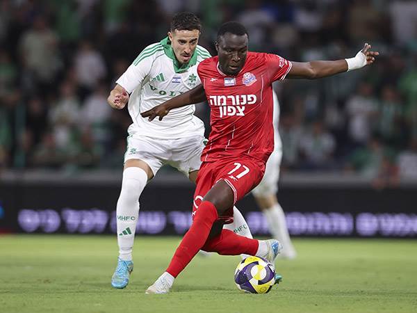 (מאור אלקסלסי)