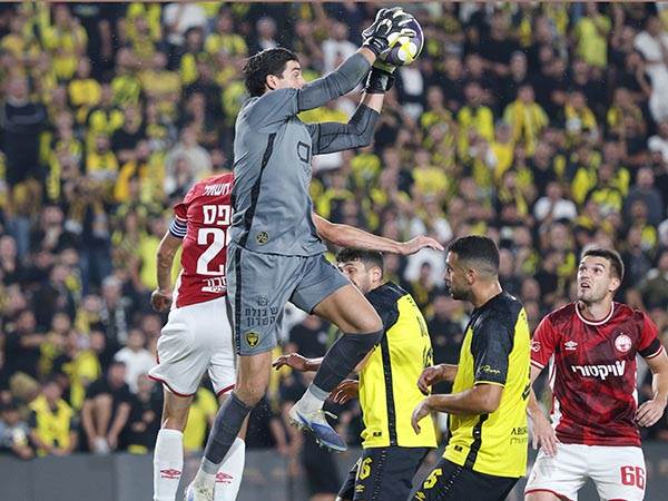 (צילום: אלן שיבר)