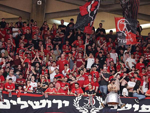 יחזרו לבירה מאושרים (אלן שיבר)