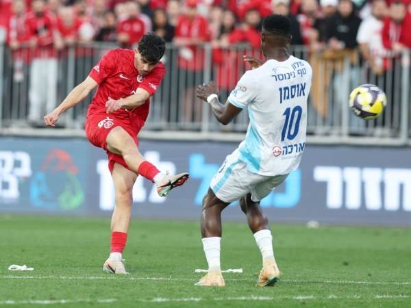 הוולה האדיר של אלקוקין (אלן שיבר)