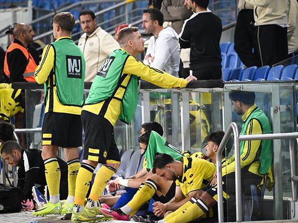 (ברני ארדוב)