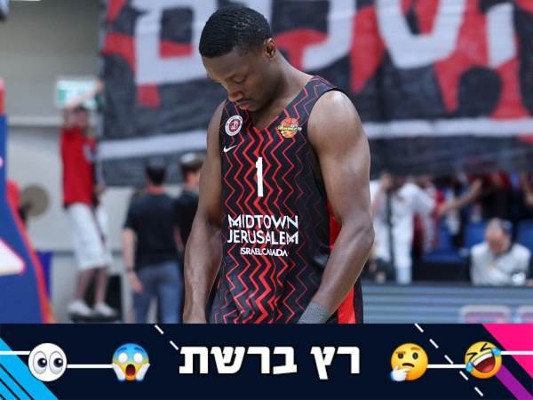 (אלן שיבר)