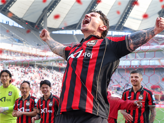 FC서울 (FC Seoul)﻿)