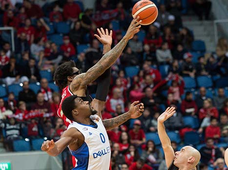 עימות מתמשך מתחת לסל. סטודמאייר ואדריאן (עודד קרני)