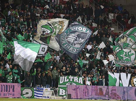 הקהל הירוק לא מאבד תקווה (אלן שיבר)