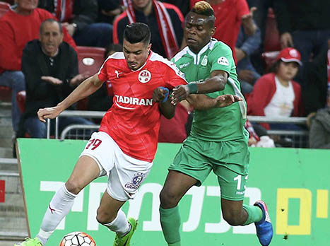 זריהן. נקודת האור (אלן שיבר)