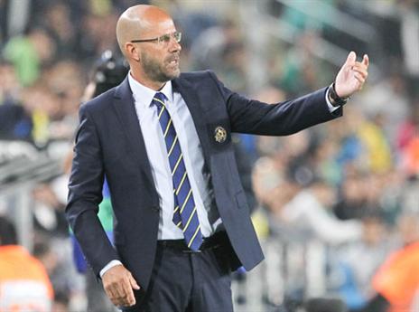 המאמן הבא של הולנד? (אלן שיבר)