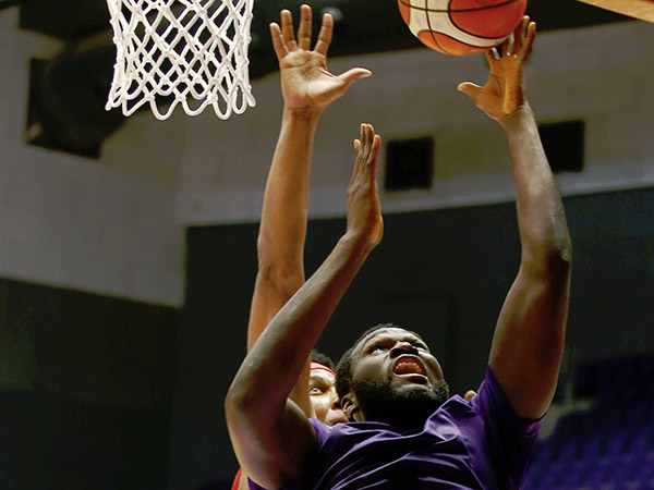 נתן תפוקה בצבע. דראמה (אלן שיבר)