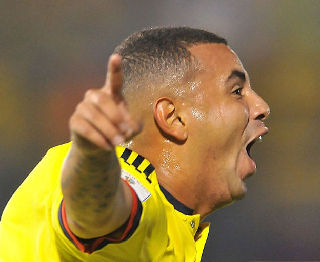 פורח בדרום אמריקה (getty)