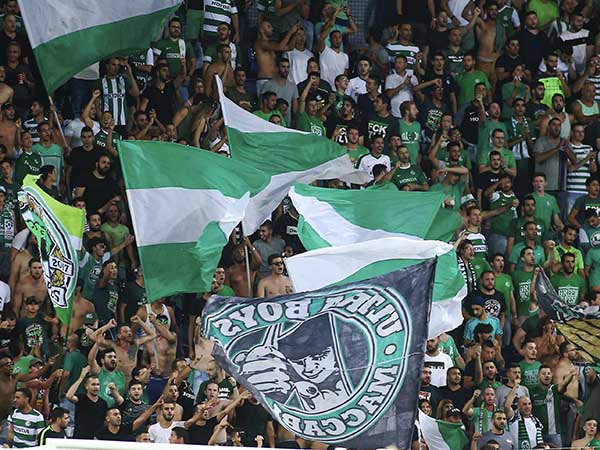 אוהדי חיפה. יזכו לקצת נחת? (אלן שיבר)