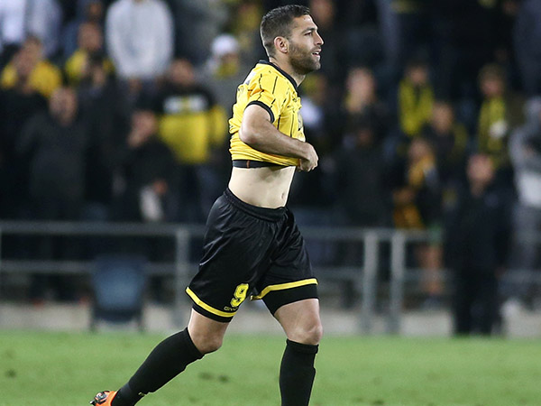 "שכטר יחזור בהדרגה להרכב" (אלן שיבר)