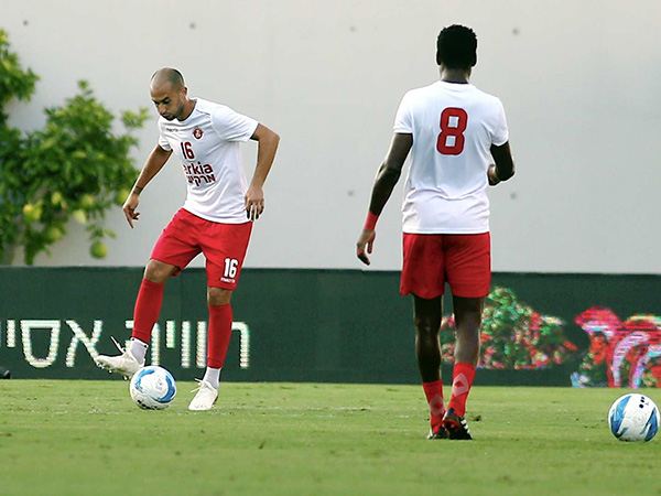 דמארי. חוזר לעניינים (אלן שיבר)