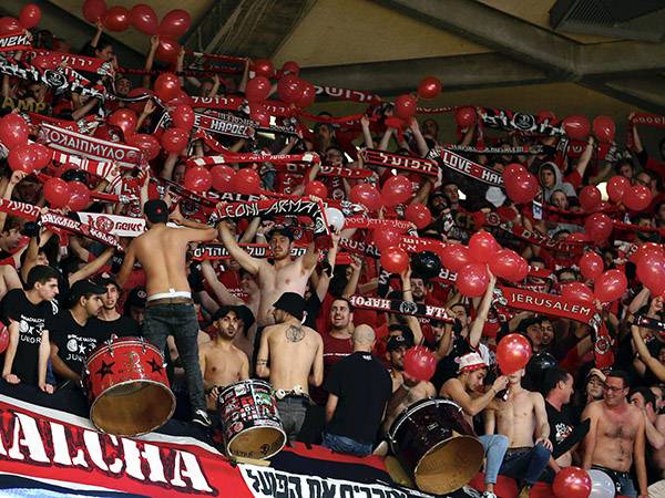 צילום: אלן שיבר