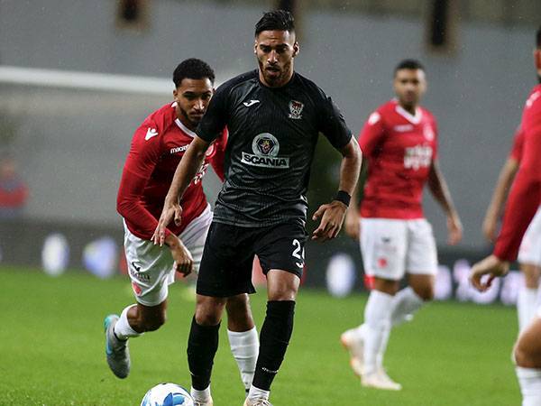 ללכת או להישאר? גנאים (צילום: אלן שיבר)