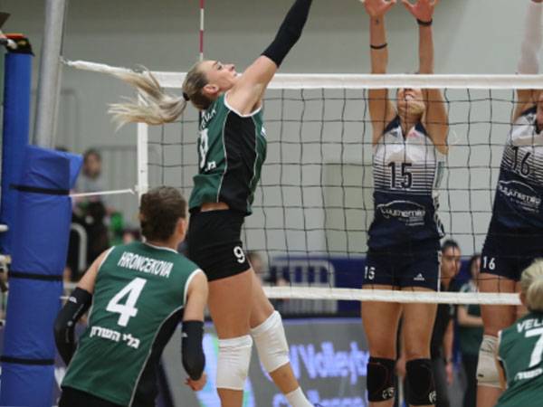 (איגוד הכדורעף)