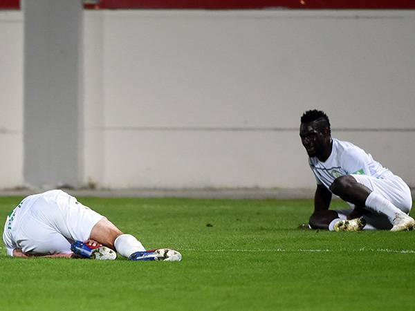 "יכולנו לספוג בקלות עוד שניים". כפ"ס (צילום: ברני ארדוב)