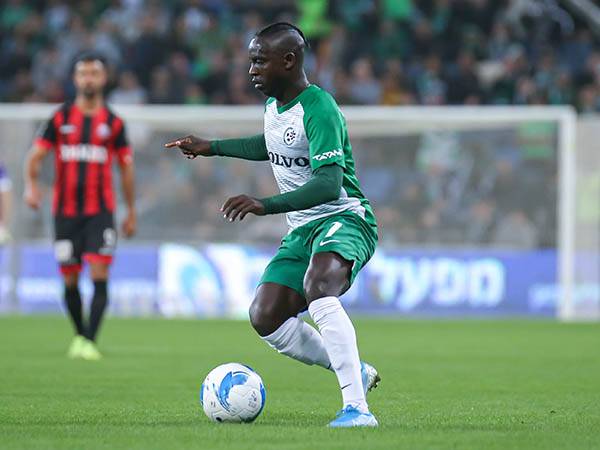 סלליך. חילוף חכם של בלבול (מאור אלקסלסי)