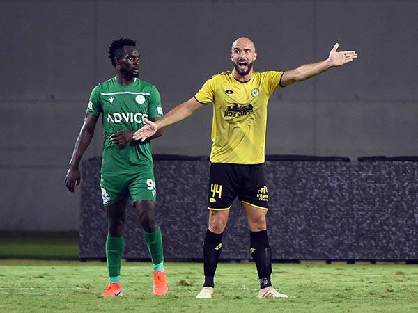 (ברני ארדוב)