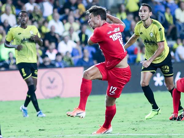 סילסבטר מבוקש בצפון (ברני ארדוב)