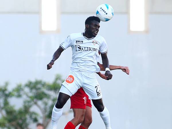 עשוי לחזור ל-11. טורה (צילום: אלן שיבר)