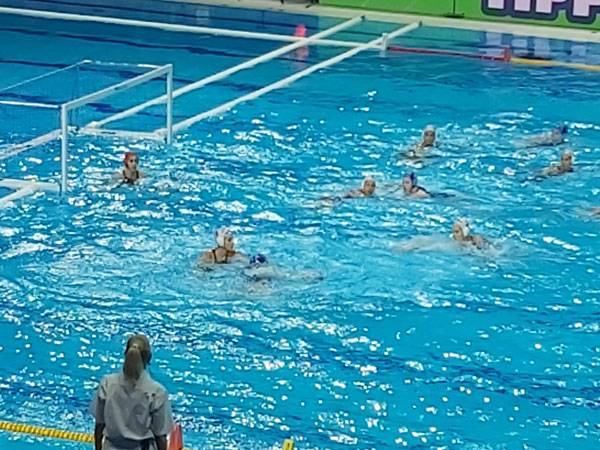 (צילום: איגוד הכדורמים)