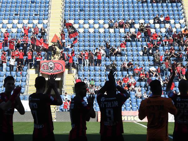 (ברני ארדוב)