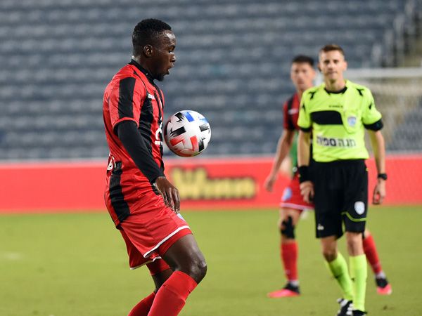 (ברני ארדוב)