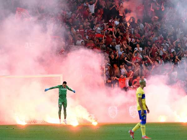 (ברני ארדוב)