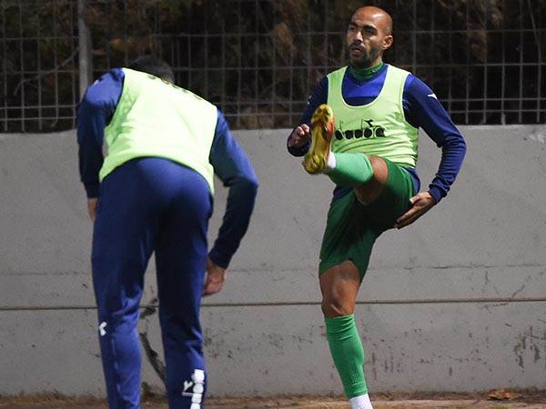 (ברני ארדוב)