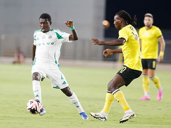 (צילום: אלן שיבר)