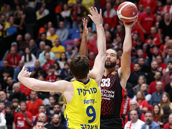 (צילום: אלן שיבר)