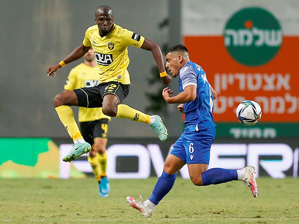 (אלן שיבר)